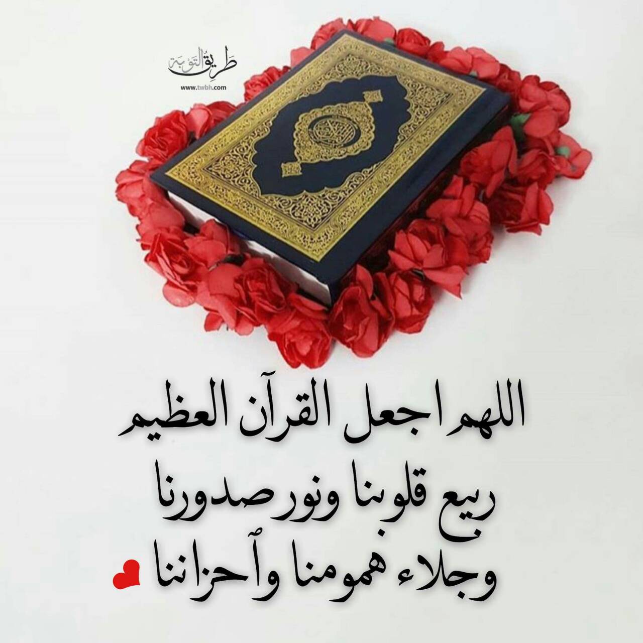 image127644.html