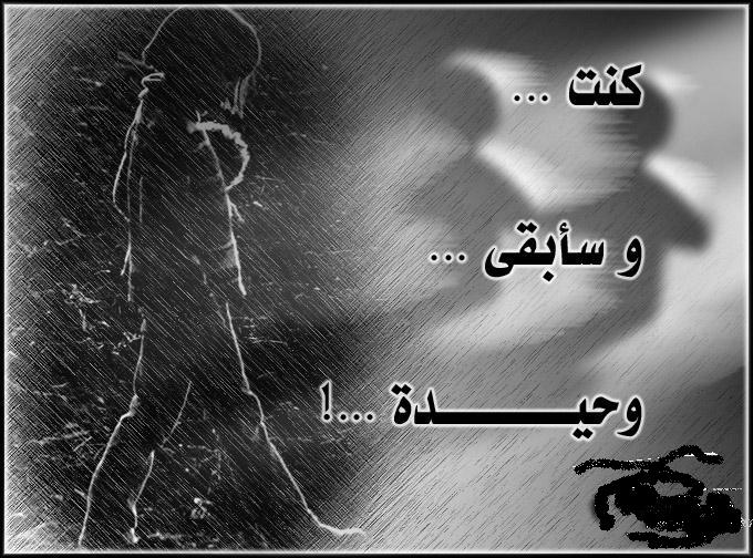 80165-image.jpg