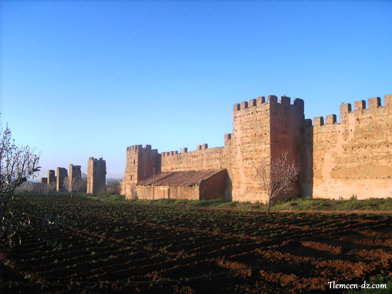 remparts-mansourah-tlemcen.jpg
