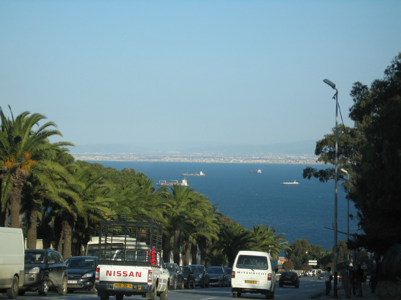 alger-s14.jpg