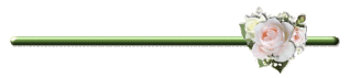 84324.imgcache.gif