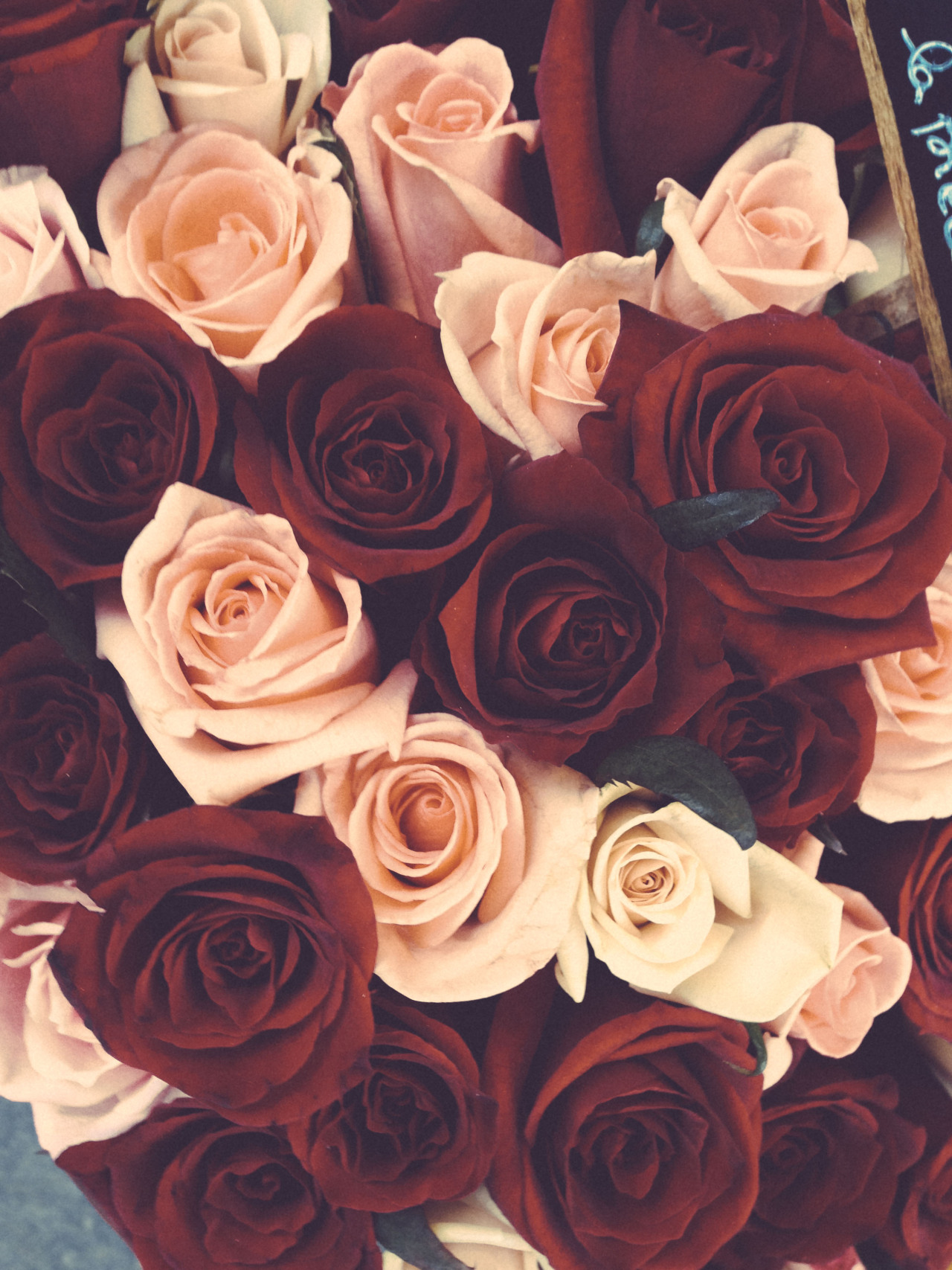 tumblr_mmv3cm0fhP1qfgwwmo1_1280.jpg