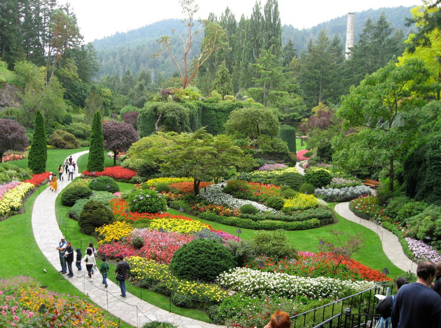 image129227.html