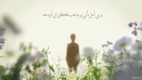 tumblr_nnlxr42NRY1sgf0uto1_500.gif