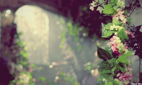 tumblr_mxiz3fQCmf1sgf0uto1_500.gif