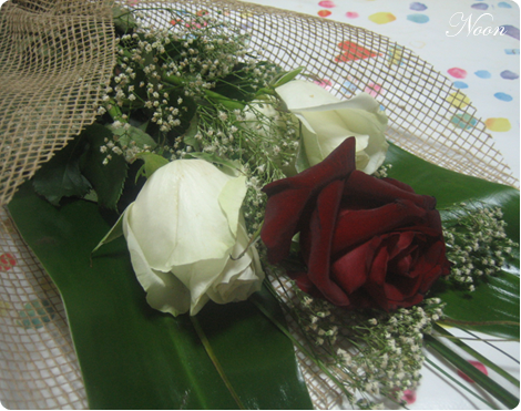 img_3855.png