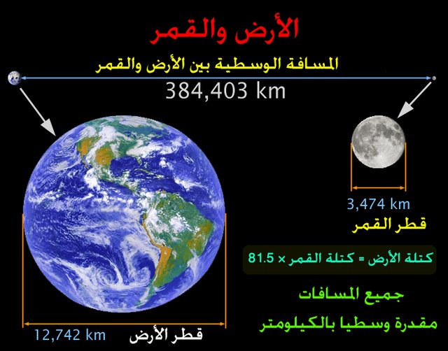 324234.JPG