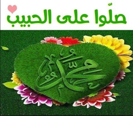 image127559.html