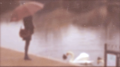 tumblr_mij76hPK6U1rh0f4io1_500.gif