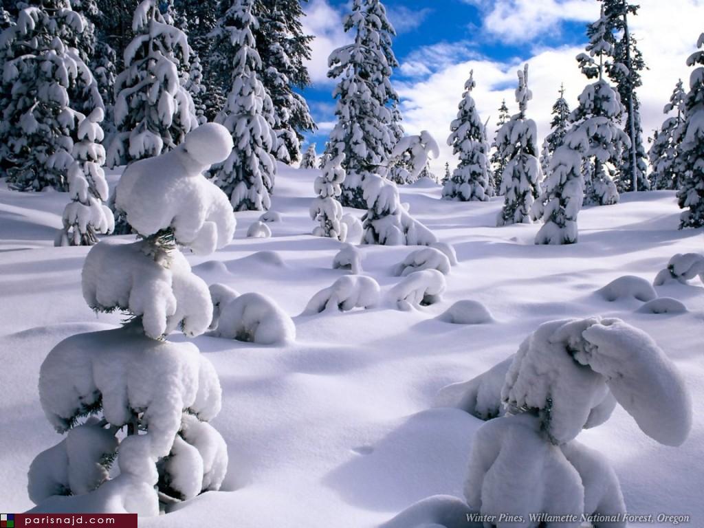 PARISNAJD_Winter7472.jpg