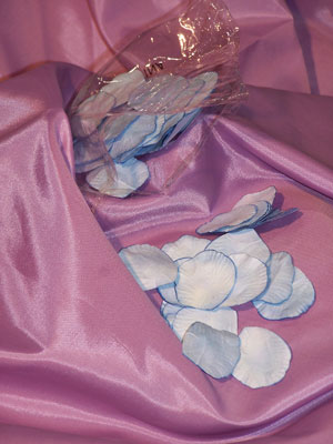 fleurs12.jpg