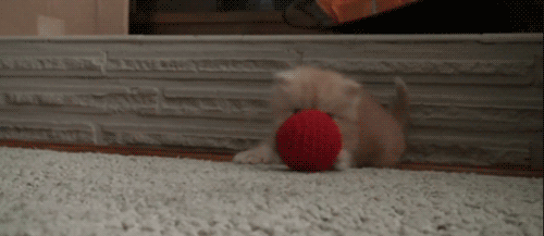 friday_gif_selection_18.gif