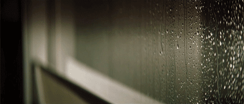 tumblr_lhszi7W9wj1qe6mn3o1_500.gif