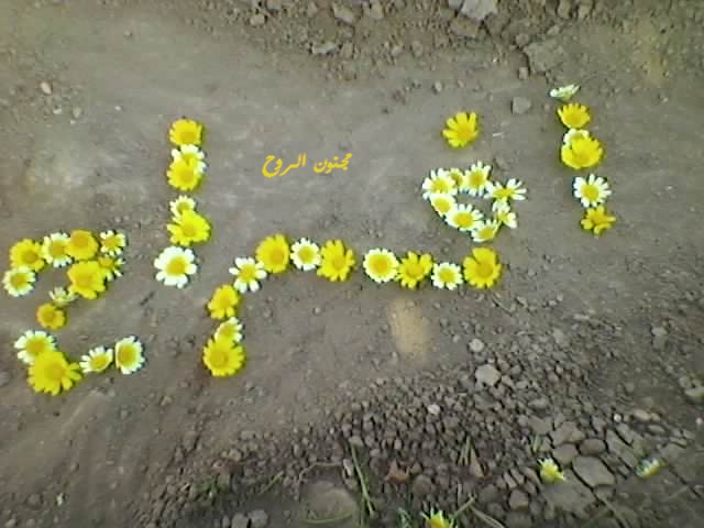 spm_a049.jpg