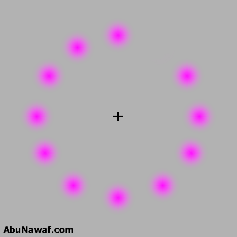 ShowLetter.gif