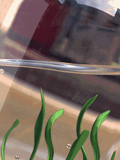 1106814h825uv43kq.gif