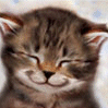 Chaton_a_sourire.gif