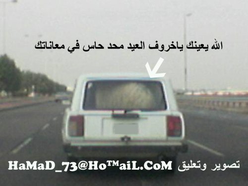 post-13996-1197838647.jpg