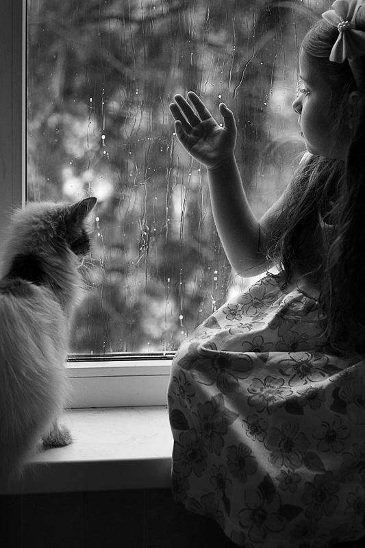 When_behind_a_window_a_rain____by_mechtaniya.jpg