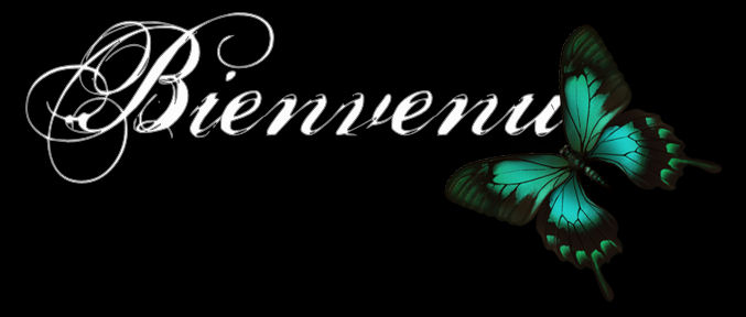 bienvenu-218149.jpg