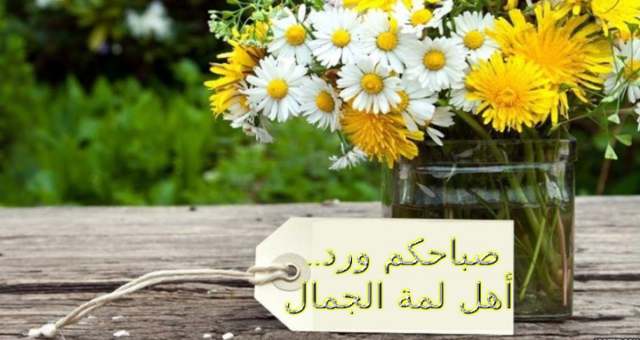 image129084.html