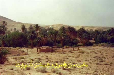 img009.jpg