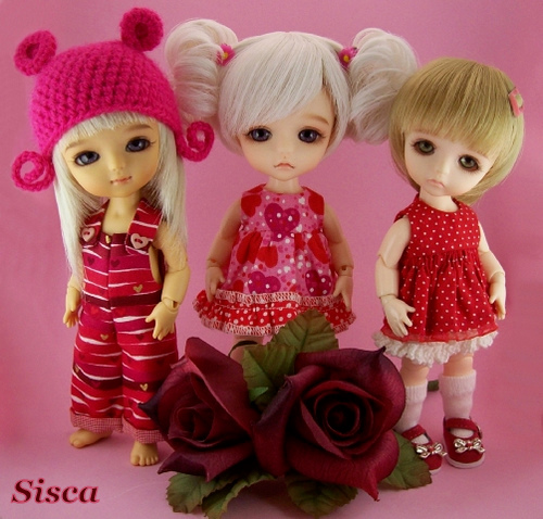 sis291.jpg
