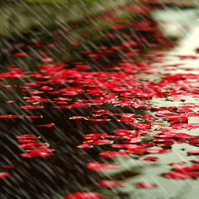 tumblr_lu6a9akR7J1qkne22o1_400.gif