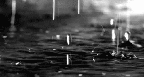 tumblr_lt6a8dPyfD1qi23vmo1_500.gif