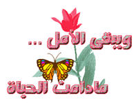 552572622.png