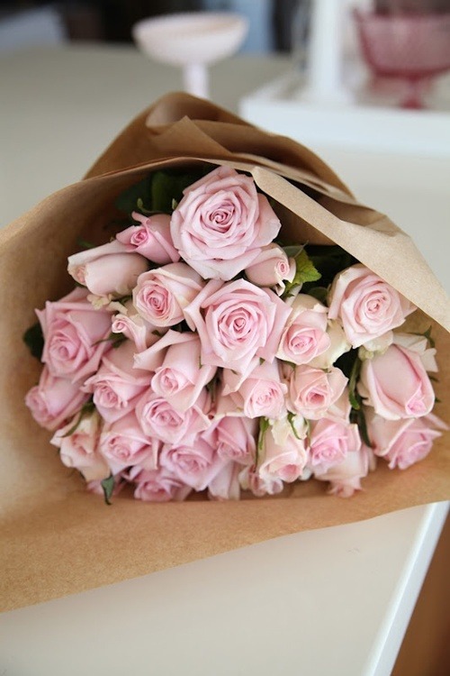 tumblr_mutp8y65K11rd6729o1_500.jpg