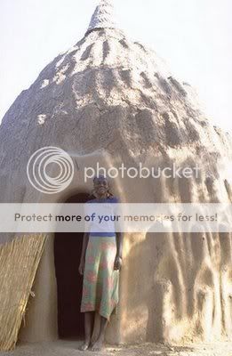 Weird-House15.jpg