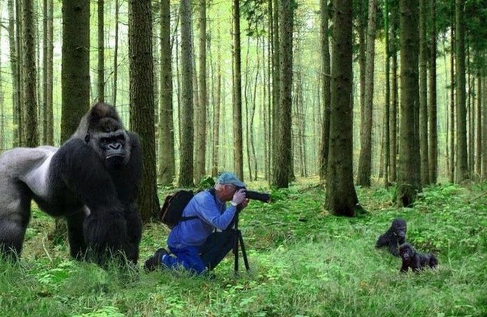 acid_picdump_117.jpg