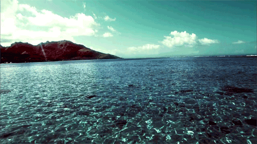 tumblr_m5icopH1r81rqq0c0o1_500.gif