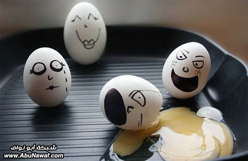 egg15.jpg