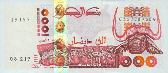 1000da11.jpg