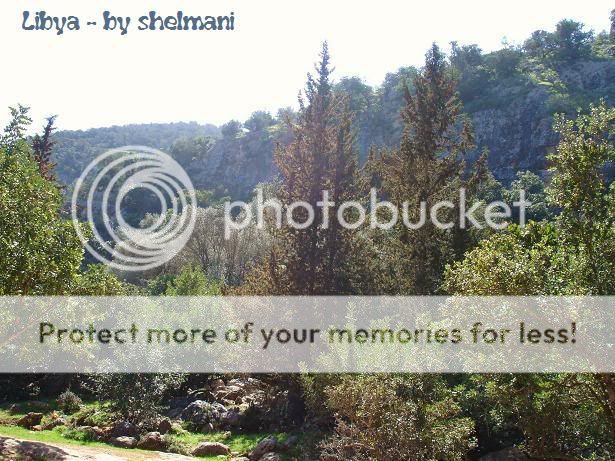 Libyanforest10.jpg