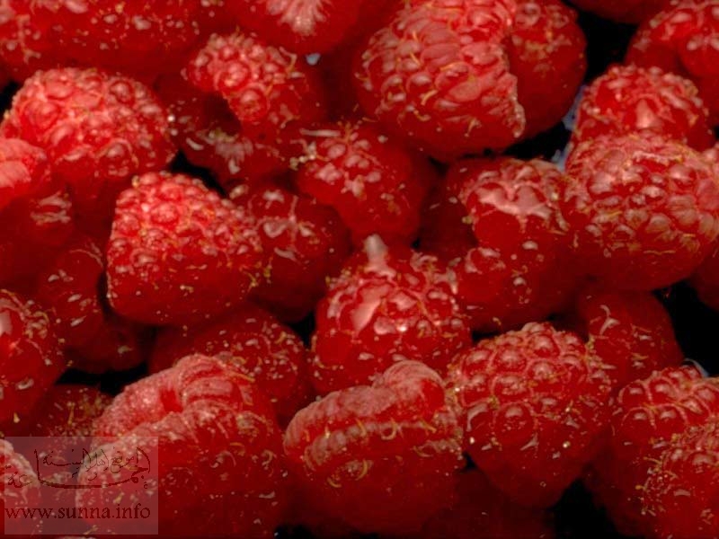 raspberries.jpg
