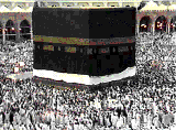 mtaf.gif
