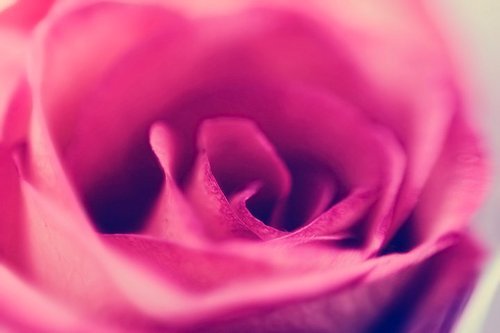 tumblr_lpawifEYO91qbwf39o1_500.jpg