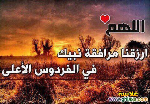 ghlasa1377663531363.jpg