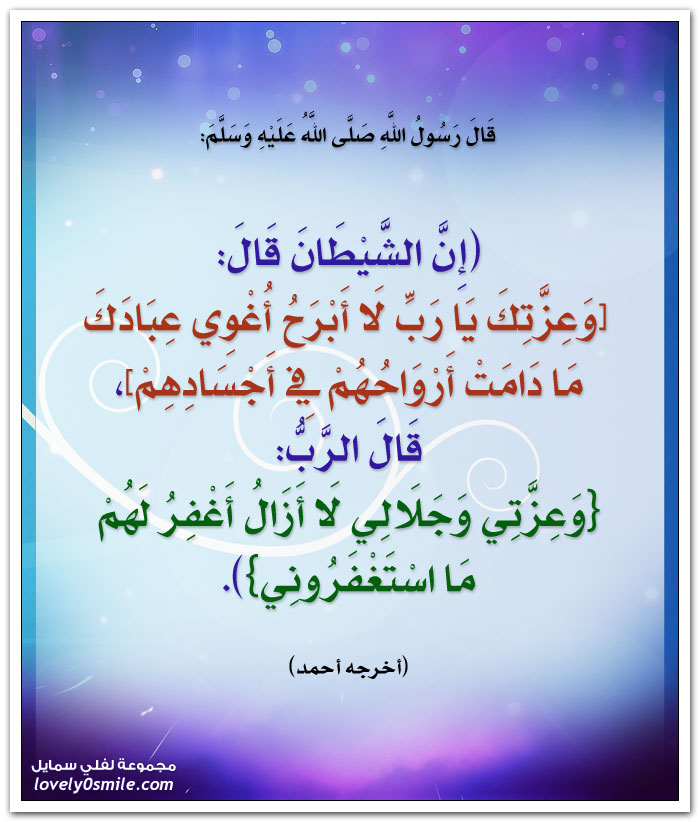 c-00113.jpg