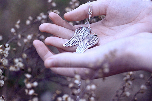 accessories-beautiful-bird-blue-bracelet-Favim.com-113278.jpg