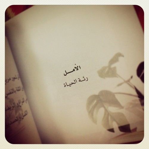 tumblr_lzp9eah3ms1qcu784o1_500.jpg