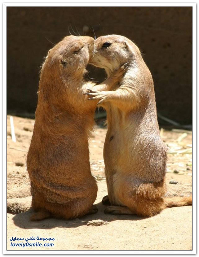 Moments-of-zoo-07.jpg