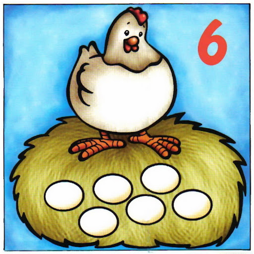 gallina6.jpg