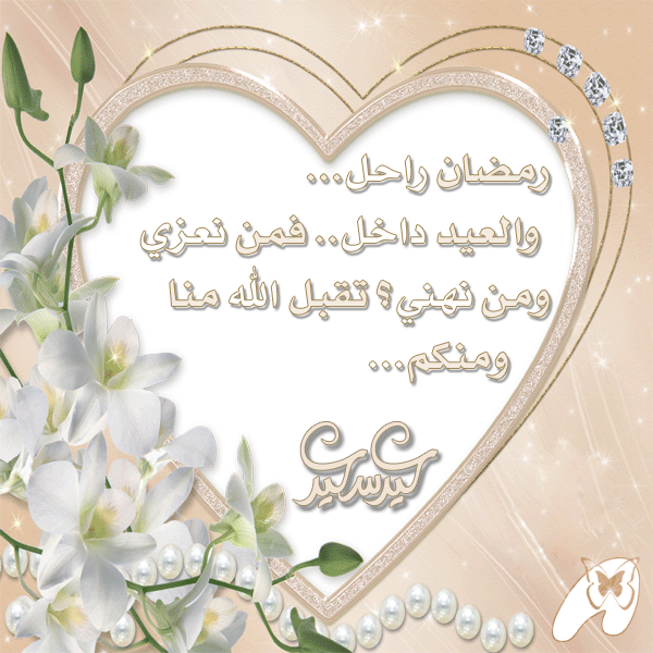 3eed-card-1.gif