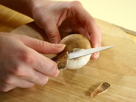 FUNGHI-2.jpg
