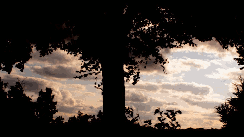 tumblr_mp6ev5hOl61rqlyzwo1_500.gif