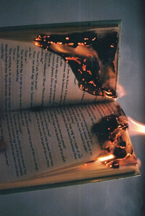 tumblr_mkyfyaMc2q1qk976zo1_500.jpg